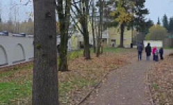 Реставрационные работы