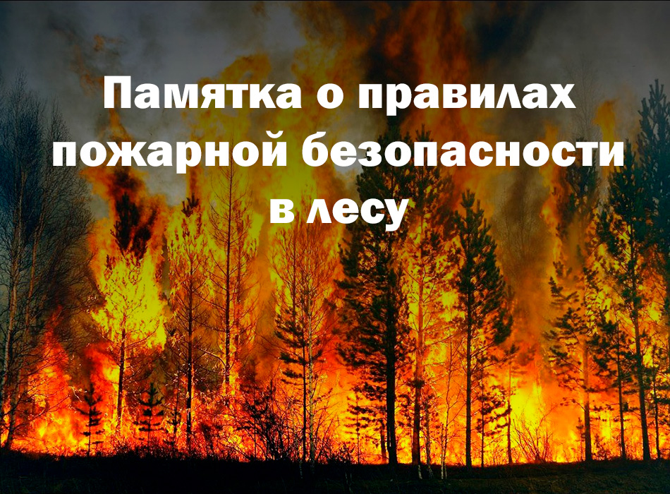 Правил пожарной безопасности в лесах 2020. Пожарная безопасность в лесу. Правила пожарной безопасности в лесу. Плакат противопожарная безопасность в лесу. Пожарная безопасность в лесу картинки.