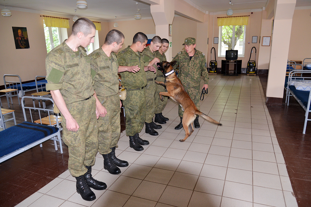 Galagan iy фото из армии официальный сайт