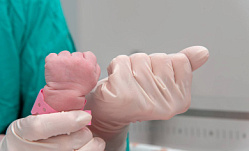 Щёлковский перинатальный центр