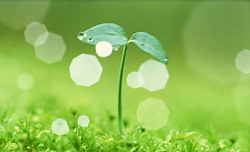 V Единстве Zа Победу