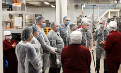 Промышленный туризм