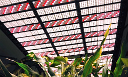 Цифровой двойник